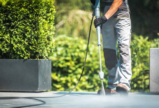 Solar Panel Cleaning in Tropical Park, FL
