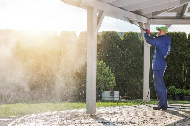 Best Rust Removal  in Tropical Park, FL